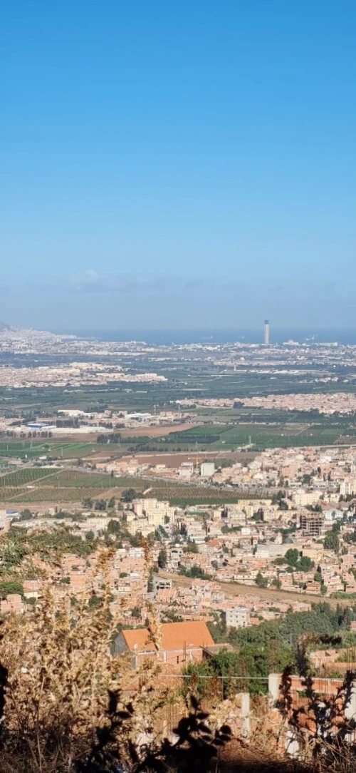 Vente Terrain Blida Meftah