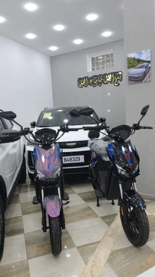 Scoozer X10 2026