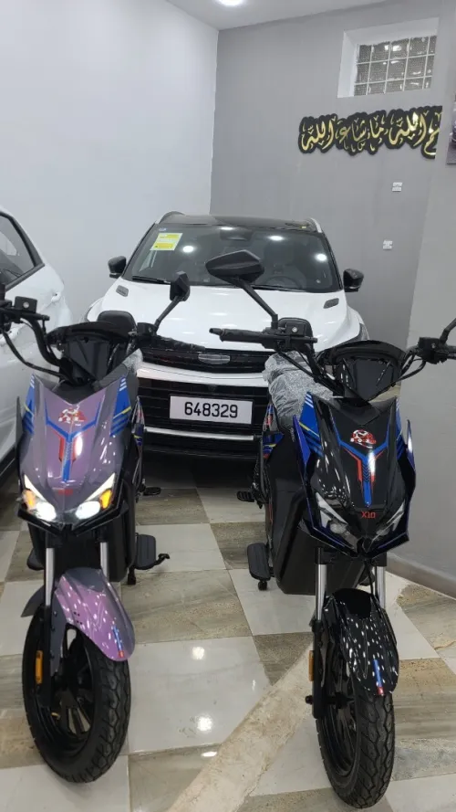 Scoozer X10 2026