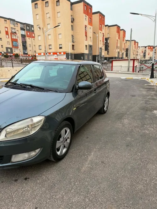 Skoda Fabia 2014 Fresh