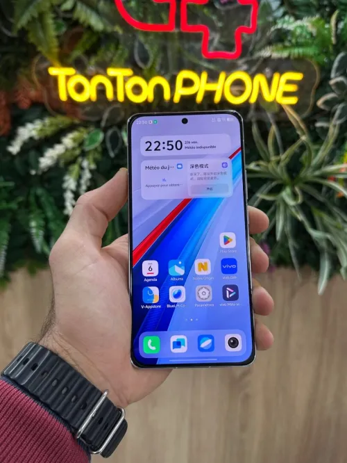 Vivo Iqoo 13 (16/256)