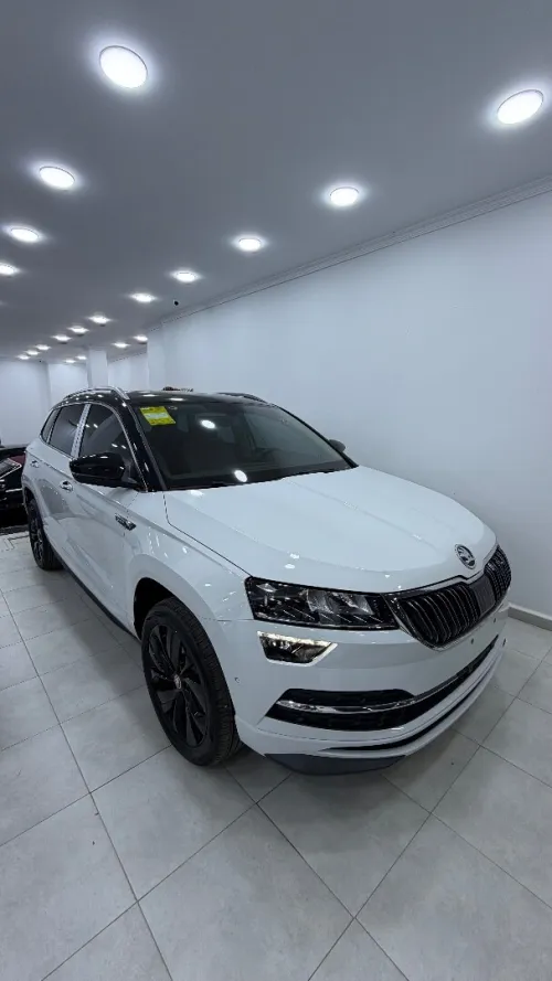 Skoda Karoq 2025 Fulll option