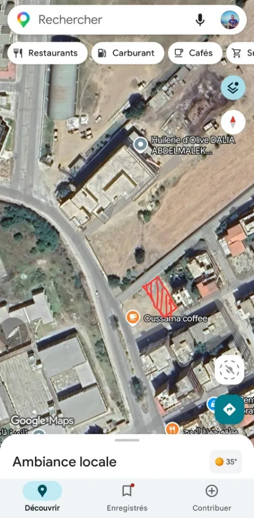 Vente Terrain Skikda Azzaba