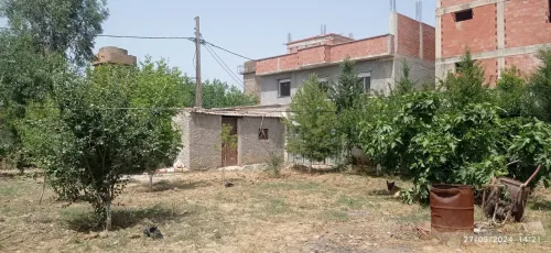 Vente Terrain Blida Ouled selama