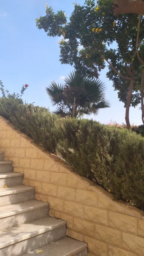 Vente Appartement F3 Alger Baba hassen
