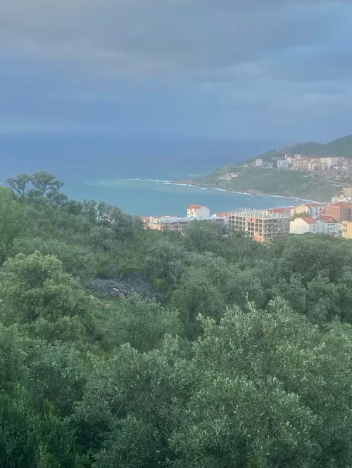 Vente Terrain Tizi Ouzou Tigzirt