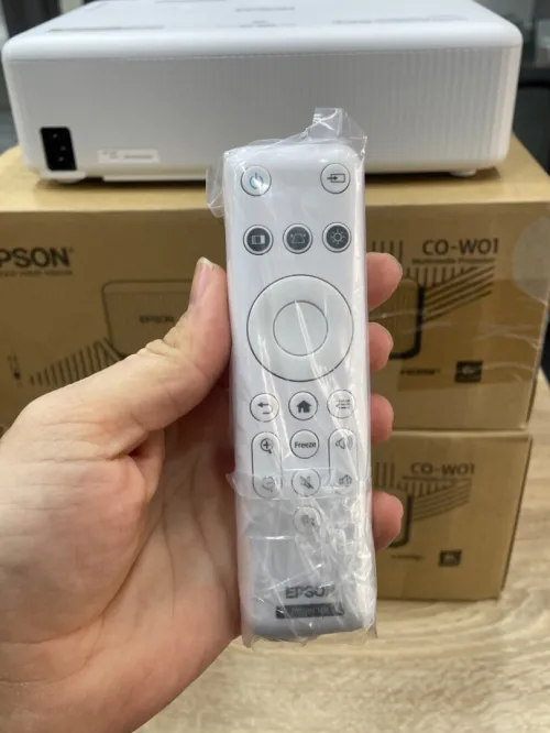 EPSON CO-W01