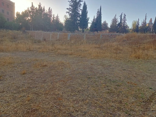 Vente Terrain Médéa Medea