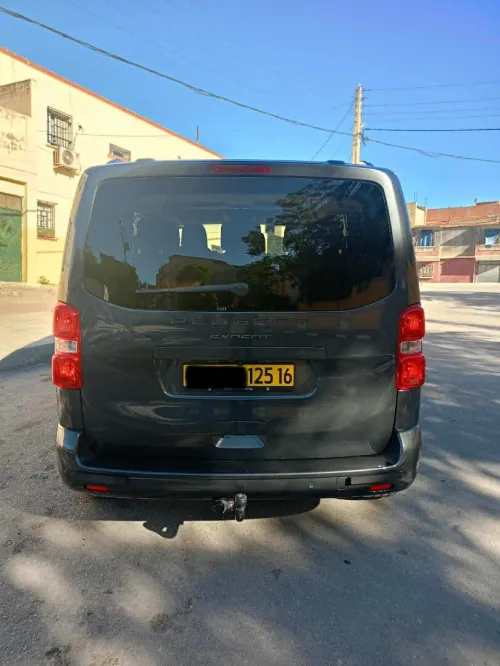 Peugeot Expert 2025 Combi