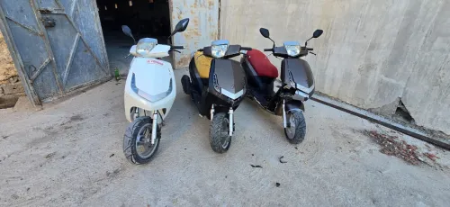 Pegout Viva ciyti 2014