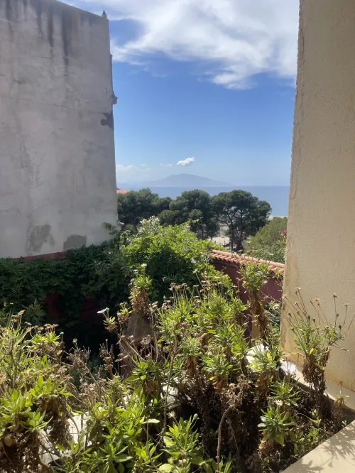 Vente Villa Tipaza Khemisti