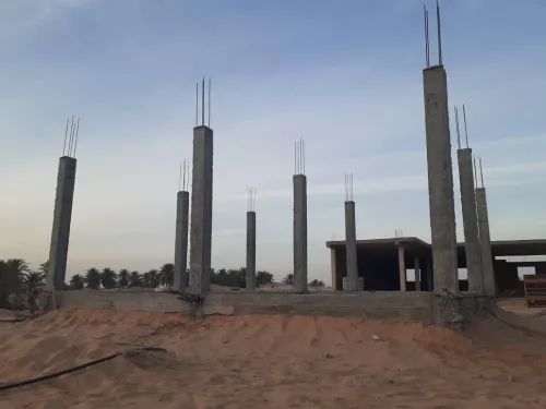 Vente Terrain Ouargla Ngoussa