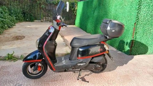 Cuxi Cuxi1 2022