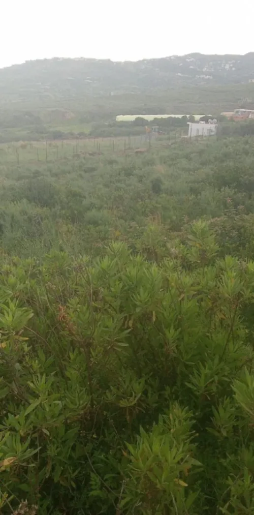 Vente Terrain Tizi Ouzou Tigzirt