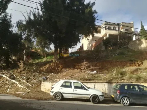 Vente Terrain Alger Bouzareah