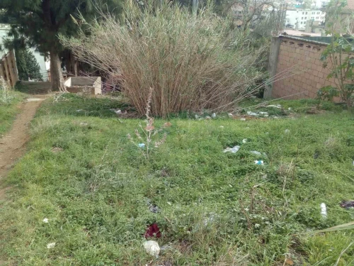 Vente Terrain Alger Bouzareah