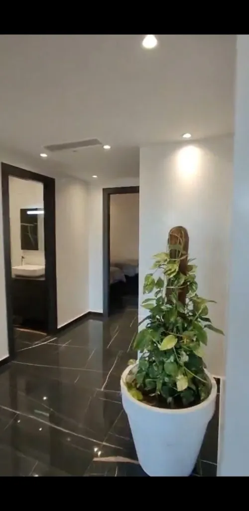 Vente Appartement Duplex F7 Alger Ben aknoun