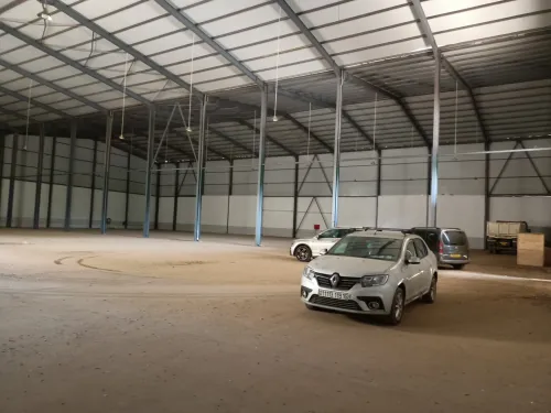 Location Hangar Alger Les eucalyptus
