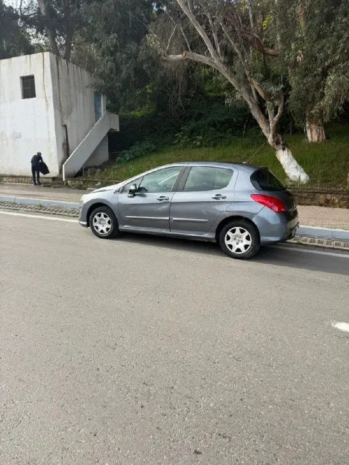 Peugeot 308 2010 Active