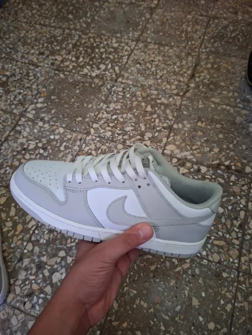 Basquettes Nike dunk low retro