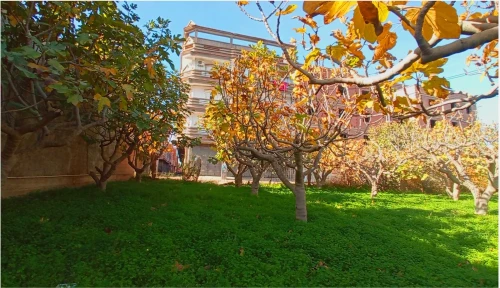 Vente Terrain Blida Ouled selama