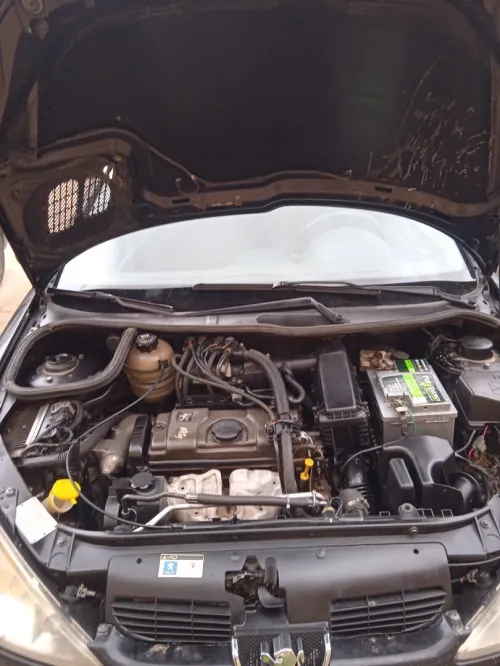 Peugeot 206 Sedan 2008 206 Sedan