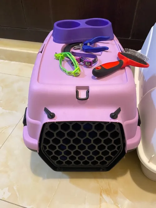Vente de pack matériel pour chat