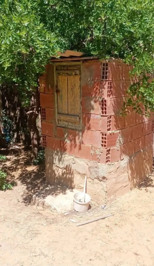 Vente Terrain Mostaganem Kheireddine