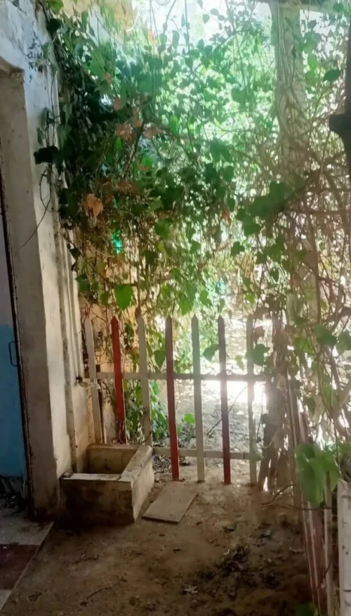 Vente Terrain Mostaganem Kheireddine