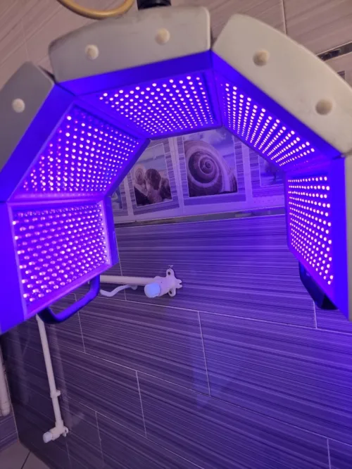 appareil de thérapie photodynamique