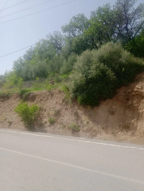 Vente Villa Bordj Bou Arreridj Bordj zemoura