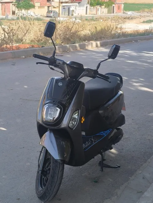 Vms Estate x 2025