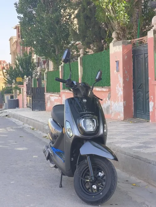 Vms Estate x 2025