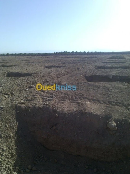 Vente Terrain Agricole Biskra Mlili
