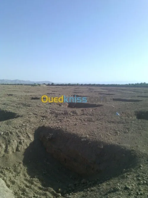 Vente Terrain Agricole Biskra Mlili