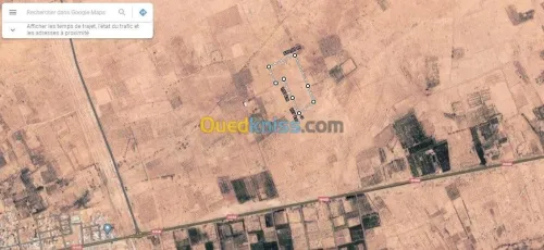 Vente Terrain Agricole Biskra Mlili