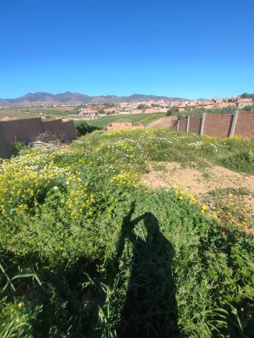Vente Terrain Aïn Defla Bourached