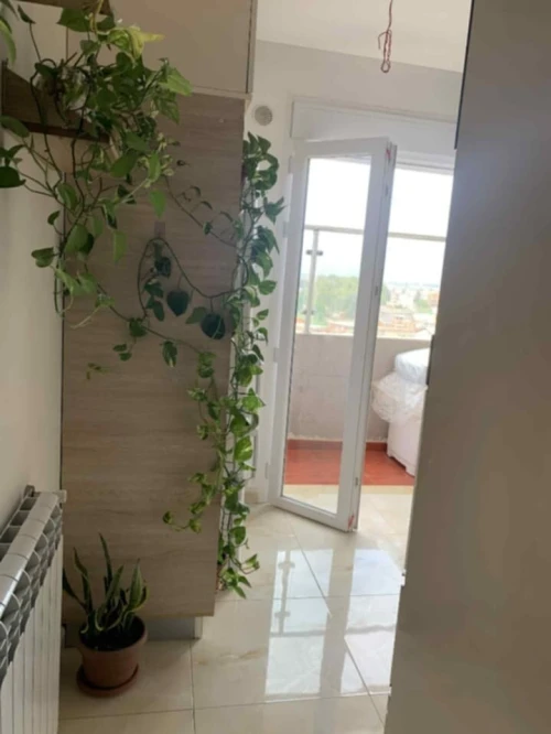 Vente Appartement F3 Tipaza Hadjout