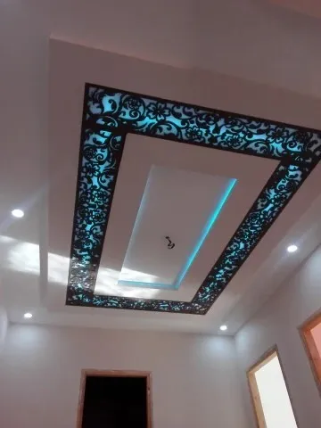 Installation faux plafond PVC et placoplatre
