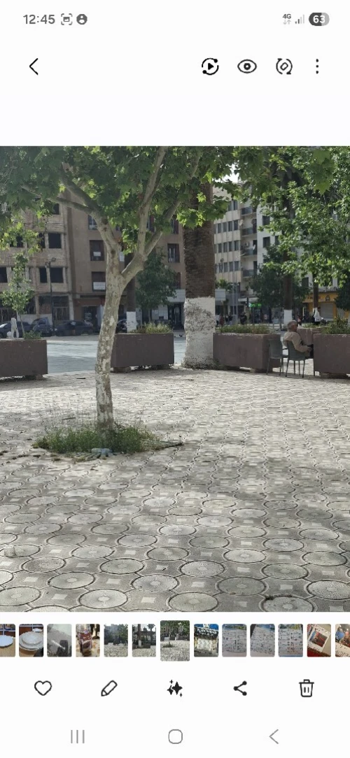 Vente Local Sidi Bel Abbès Sidi bel abbes