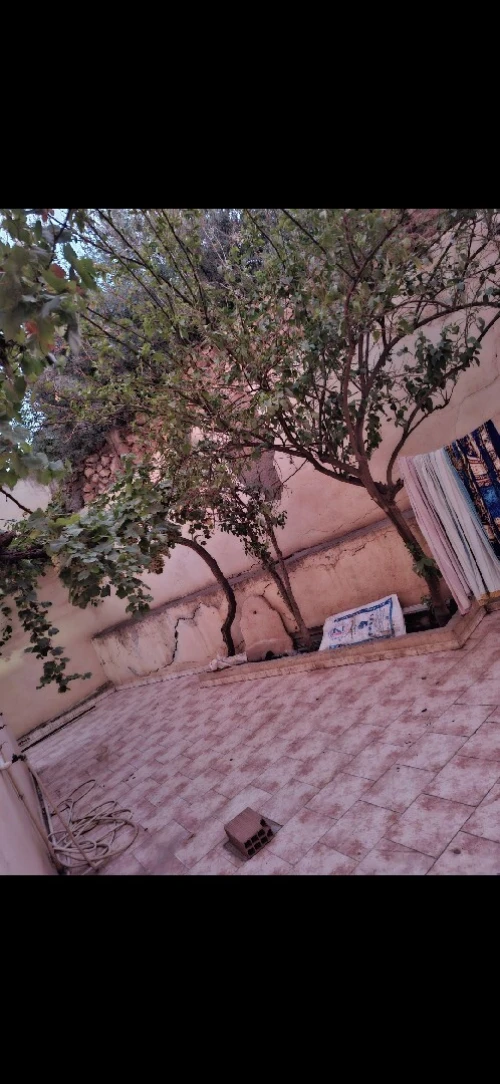 Vente Villa Sidi Bel Abbès Sidi bel abbes
