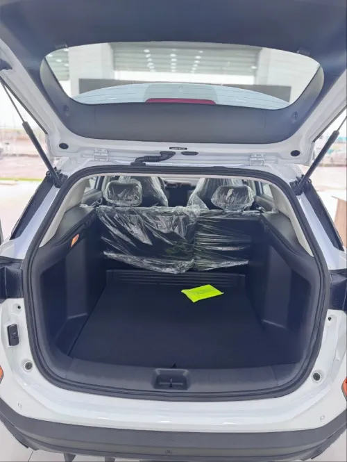 Dongfeng  Aoelus shine gs 2025 Luxury