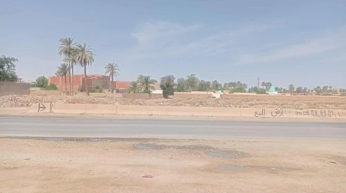 Vente Terrain Laghouat Laghouat