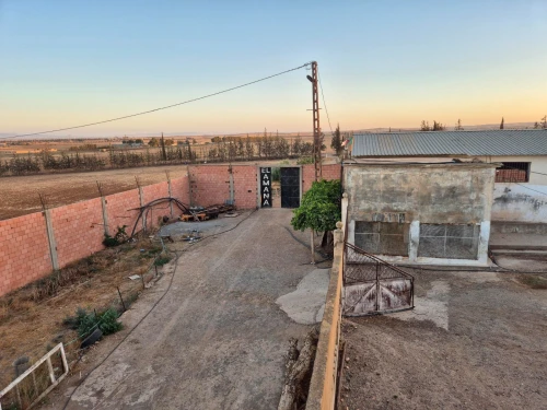 Vente Terrain Agricole Sidi Bel Abbès Sidi lahcene