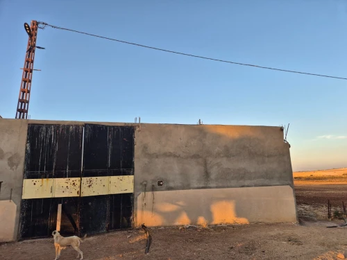 Vente Terrain Agricole Sidi Bel Abbès Sidi lahcene
