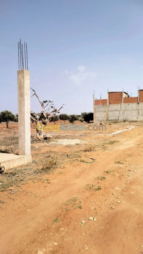 Vente Terrain Mostaganem Sayada
