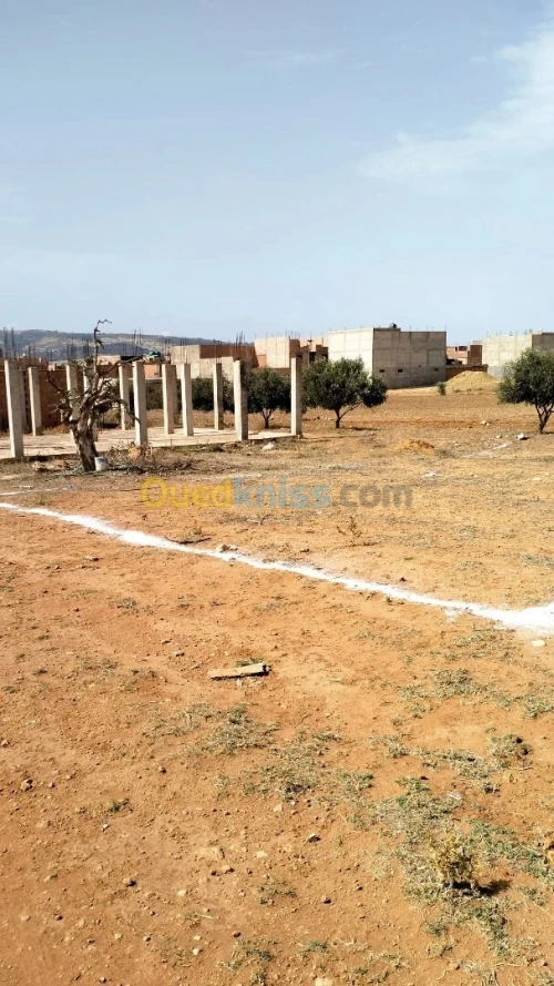Vente Terrain Mostaganem Sayada
