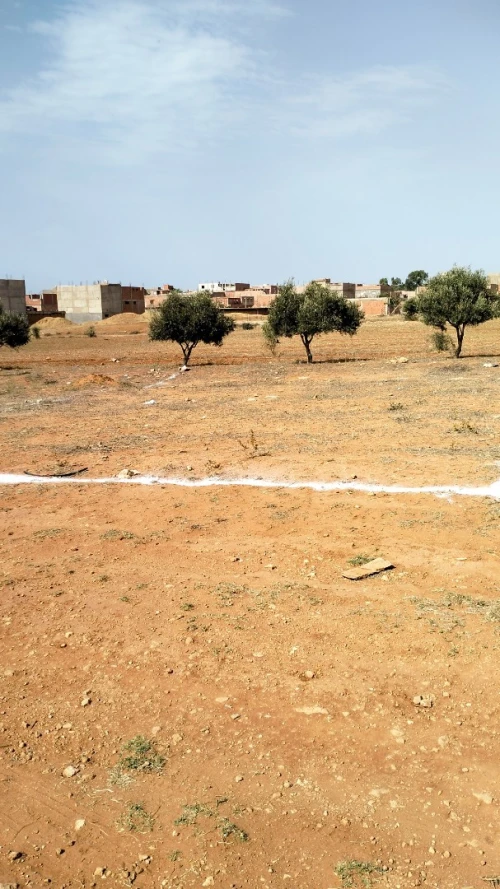Vente Terrain Mostaganem Sayada