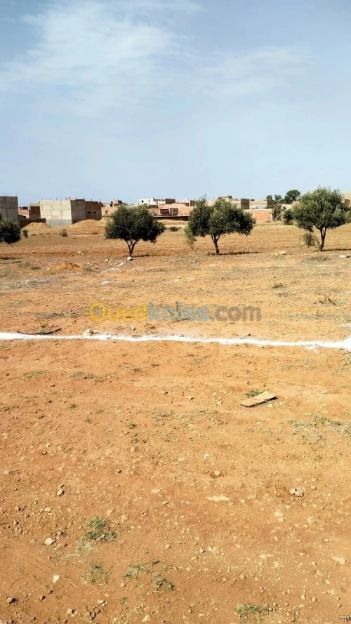 Vente Terrain Mostaganem Sayada