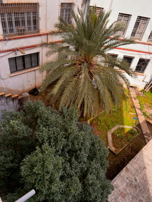 Vente Appartement F4 Alger Alger centre